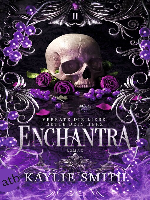 Cover image for Enchantra